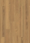 Preview: Long Plank 8 8ALTK843PP Natural Darcy Oak